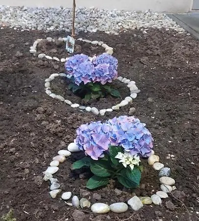 Hama Fresh Garden Wellness Apartman *